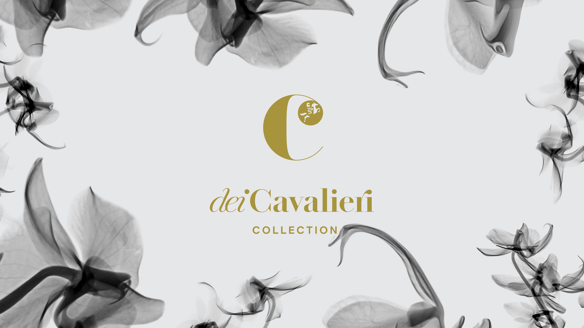 Hotel dei Cavalieri