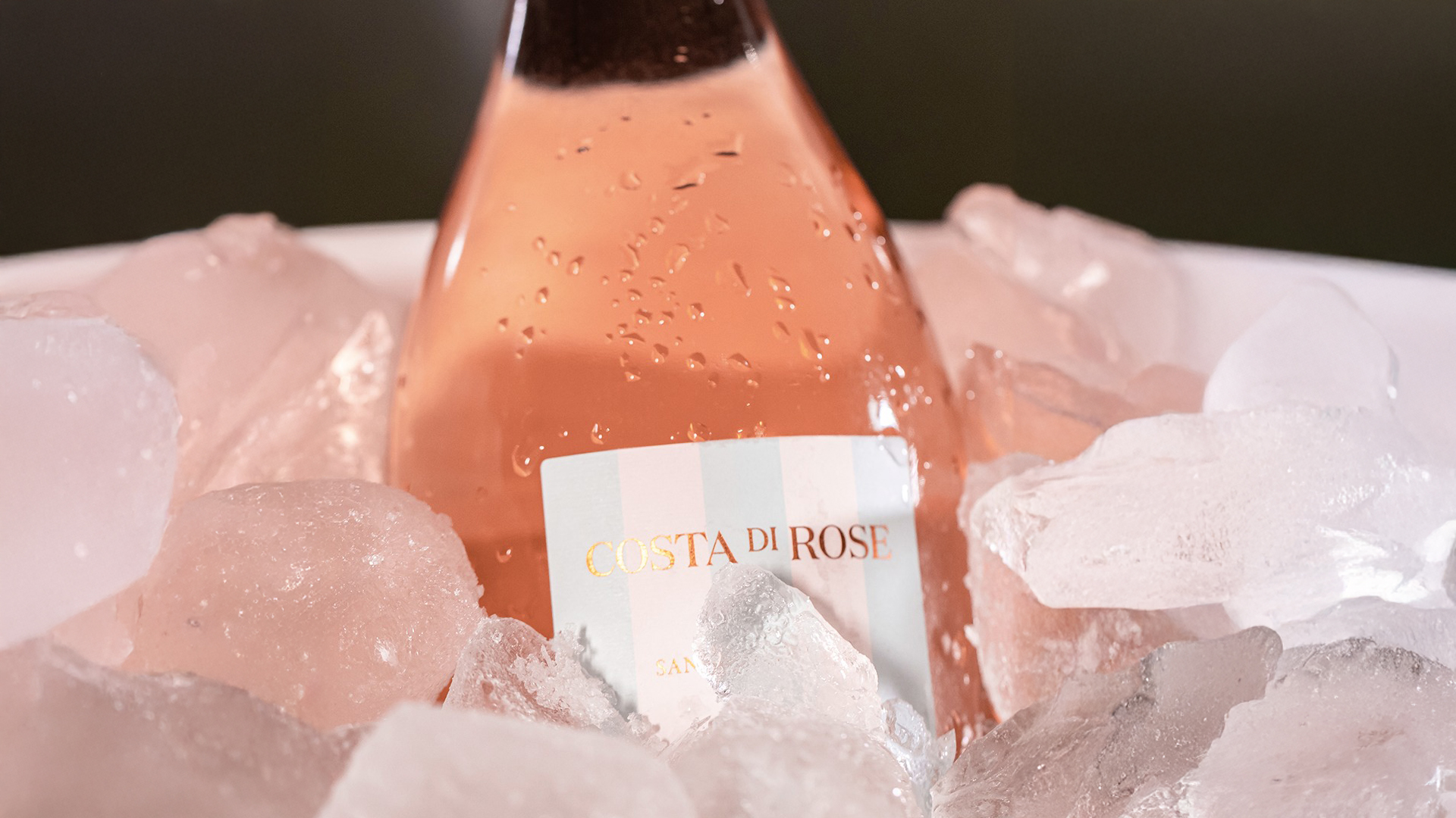 Umberto Cesari, Costa di Rose