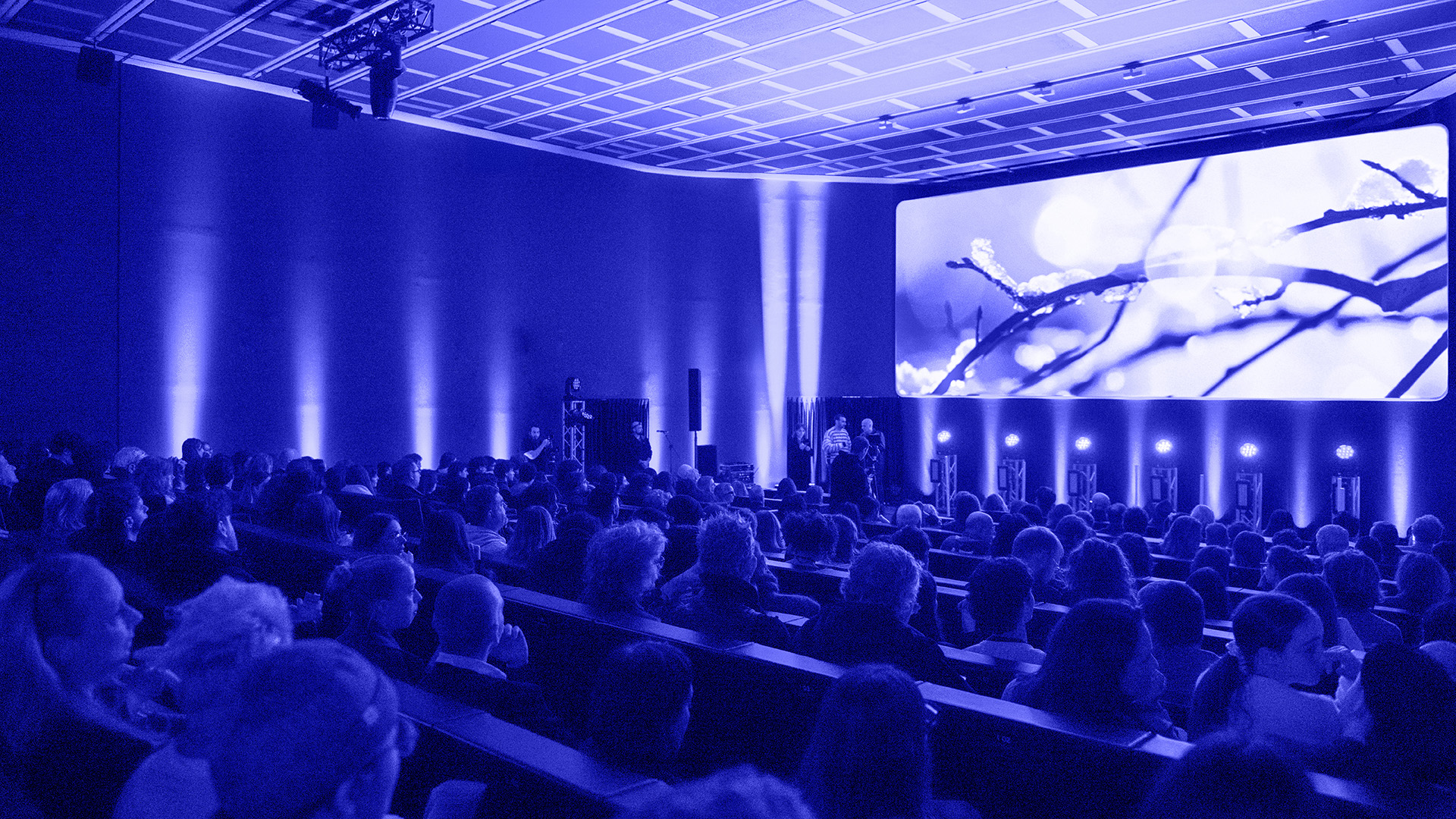 Grand Festival AFAM 2025 - Cappelli Identity Design